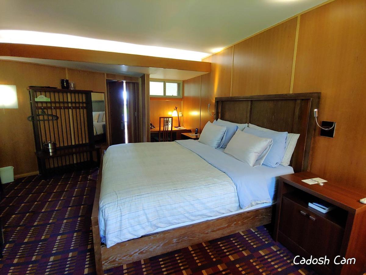 The Usonian Inn Llc 春绿村 外观 照片