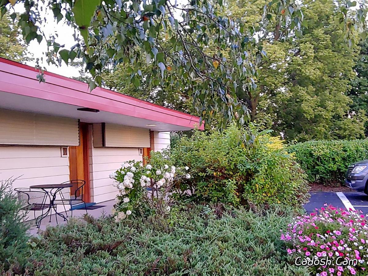 The Usonian Inn Llc 春绿村 外观 照片