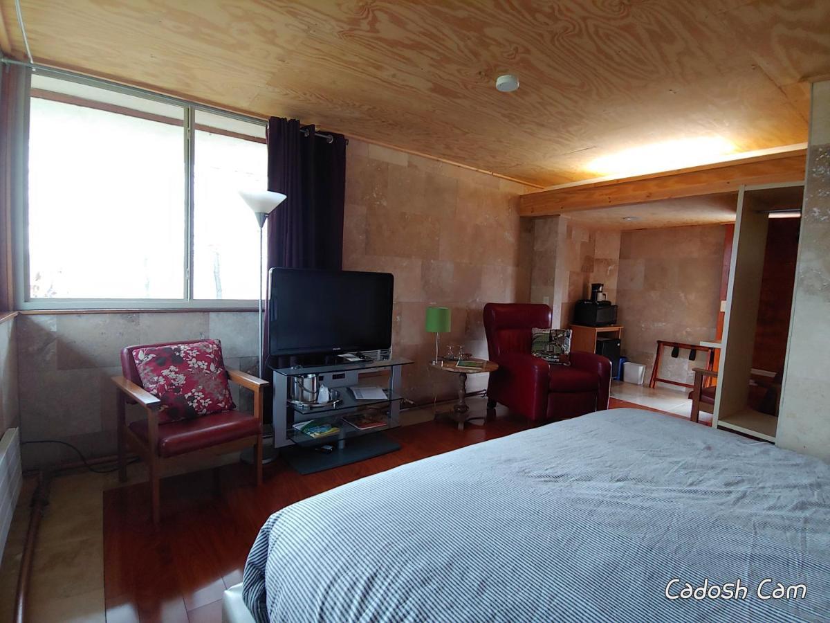 The Usonian Inn Llc 春绿村 外观 照片